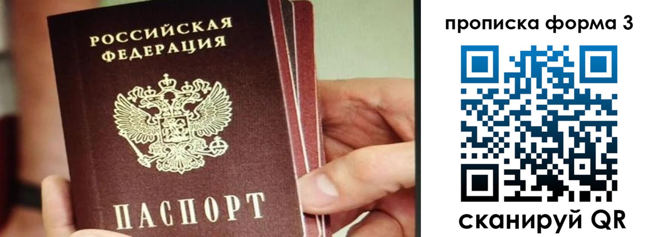 прописка законно в Октябрьске
